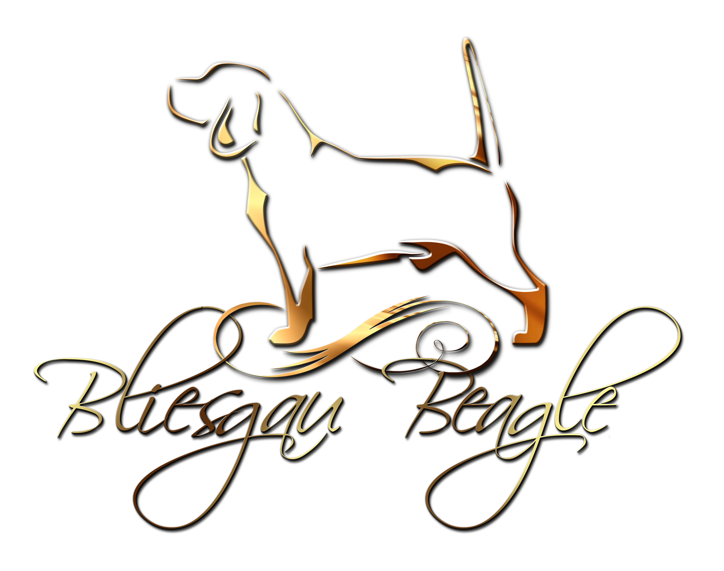 Bliesgau logo
